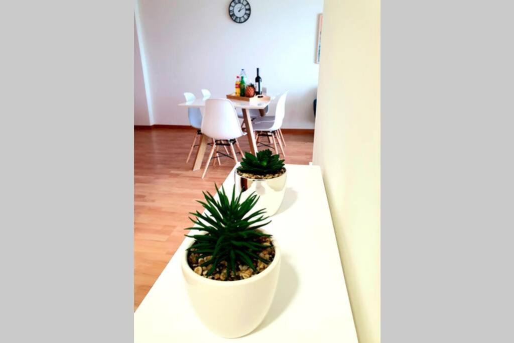 Hill & Sea House Apartman Ribeira Grande Kültér fotó
